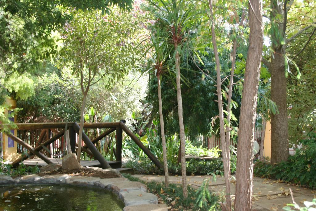 杰迪德加住宿加早餐旅馆 布隆方丹 外观 照片