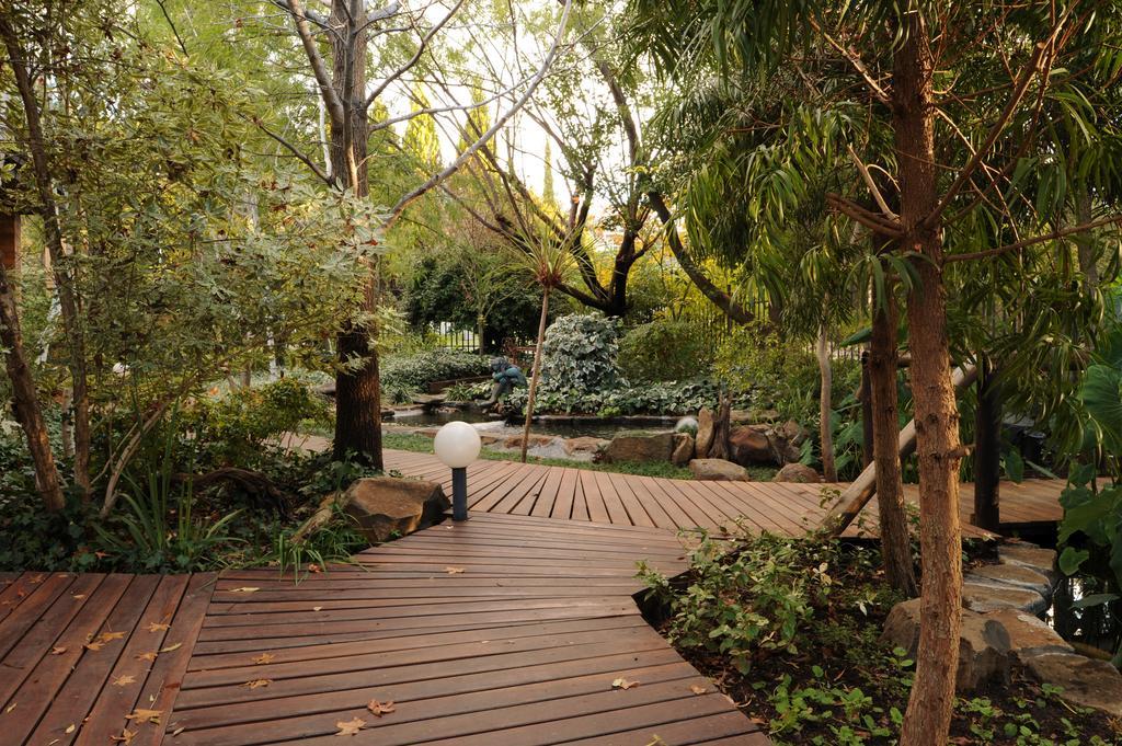 杰迪德加住宿加早餐旅馆 布隆方丹 外观 照片
